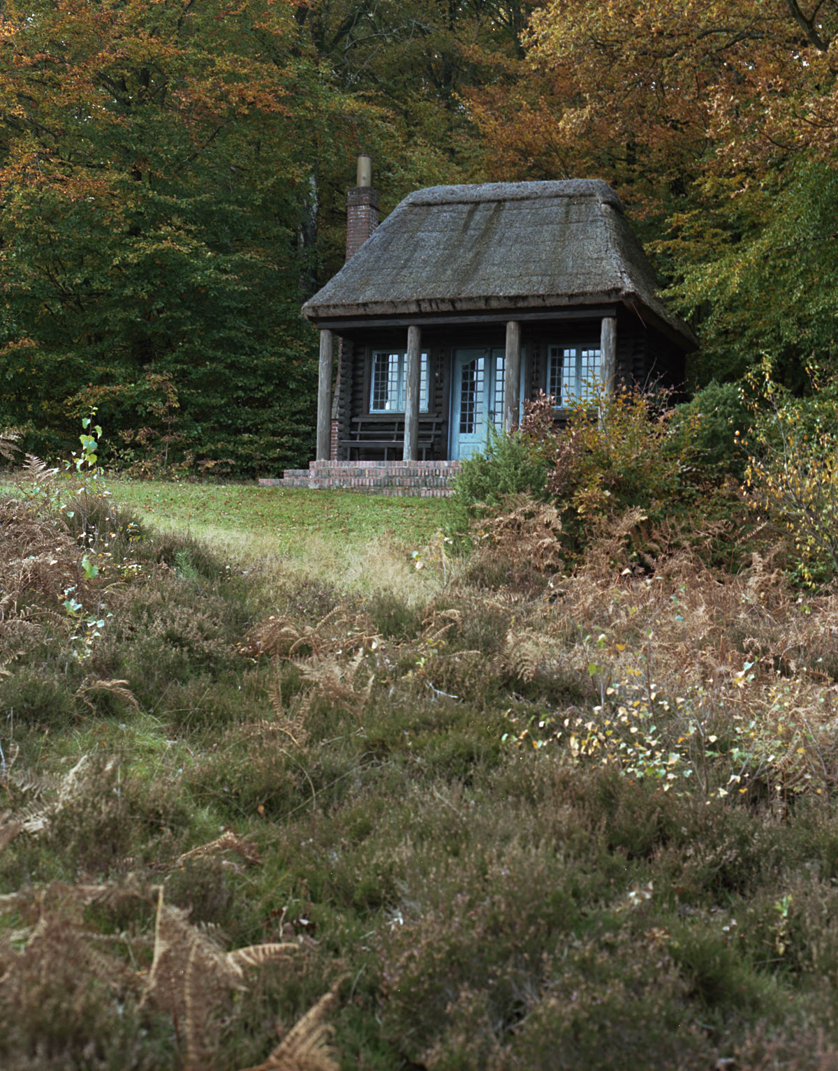 The Tea House
