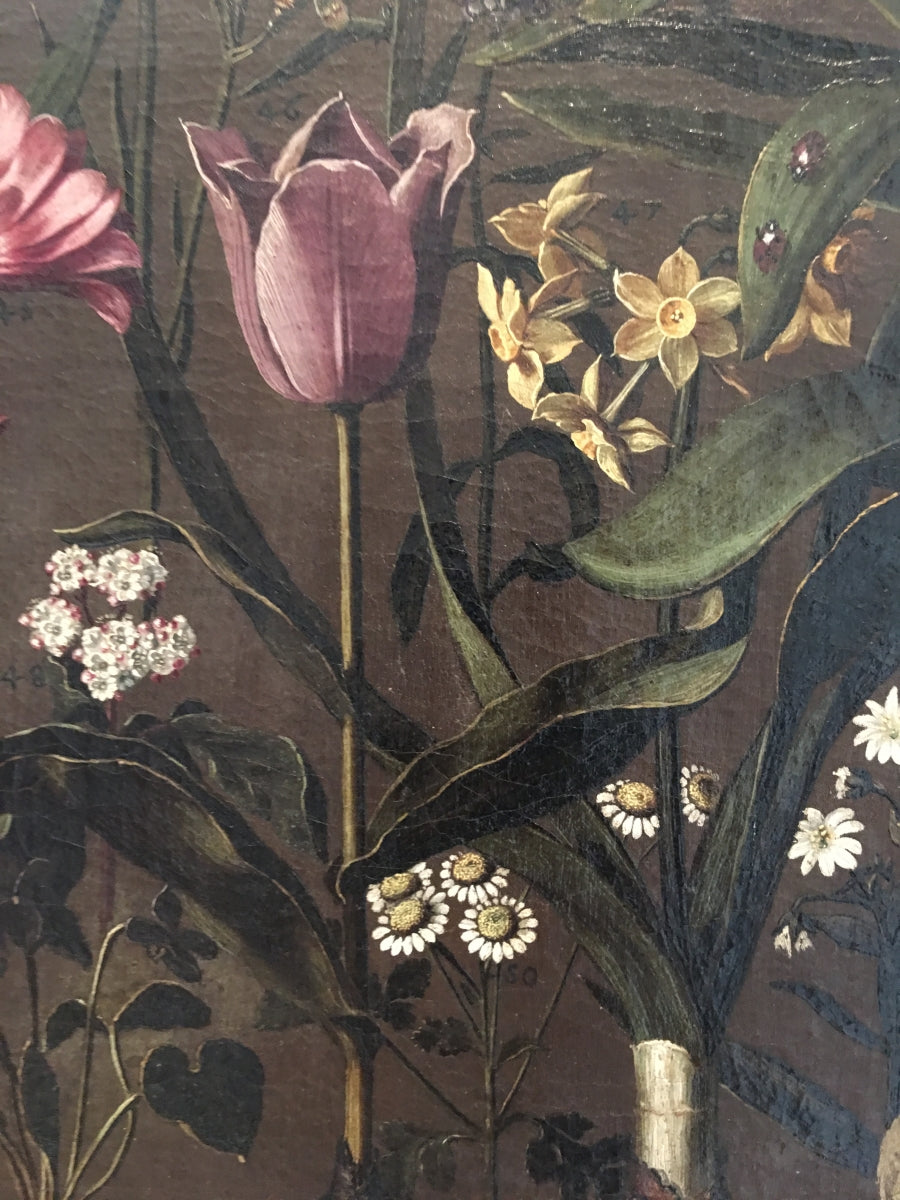 Etudes de fleurs